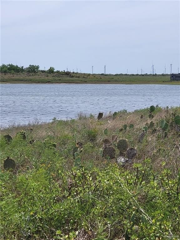 111.67 acres in Cameron County - photo 17