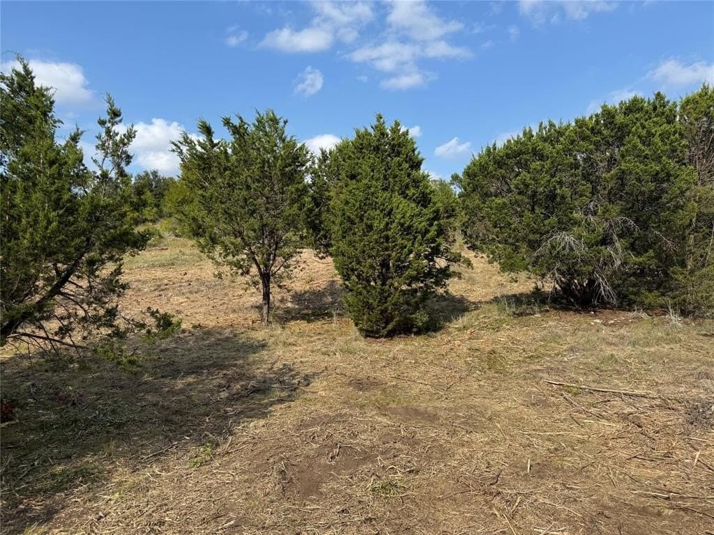 5.01 acres in Palo Pinto County gallery image 2