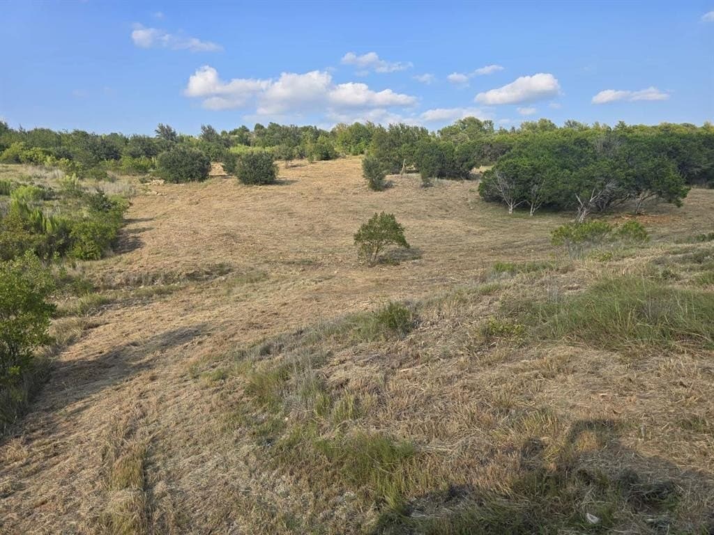 5.01 acres in Palo Pinto County gallery image 4