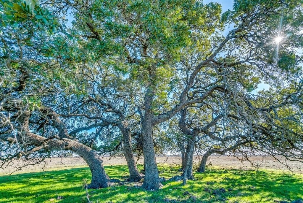 746 acres in Hamilton County featured view