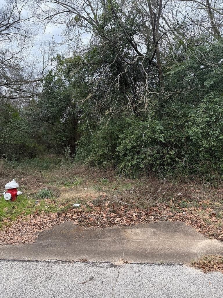 0.38 acres in Texas County gallery image 2
