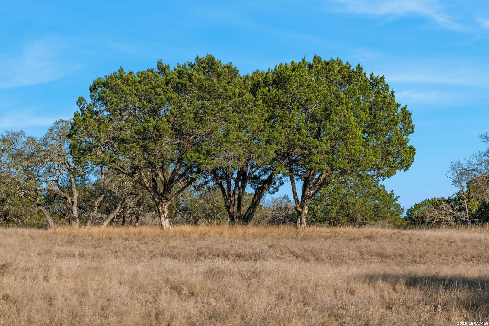 60.69 acres in Kerr County - photo 67