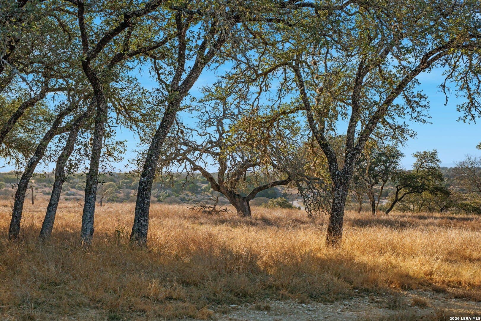 60.69 acres in Kerr County - photo 64
