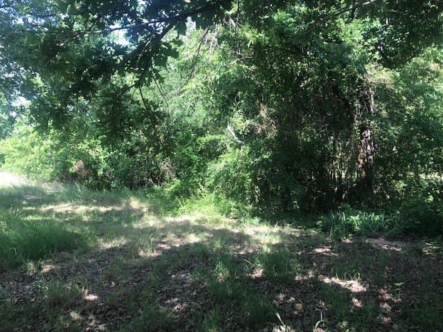 7.98 acres in Collin County - photo 9