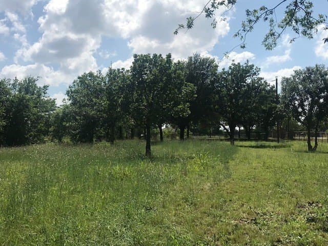 7.98 acres in Collin County - photo 6
