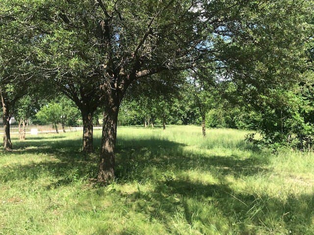 7.98 acres in Collin County - photo 7