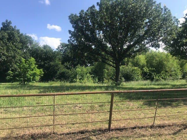 7.98 acres in Collin County - photo 3
