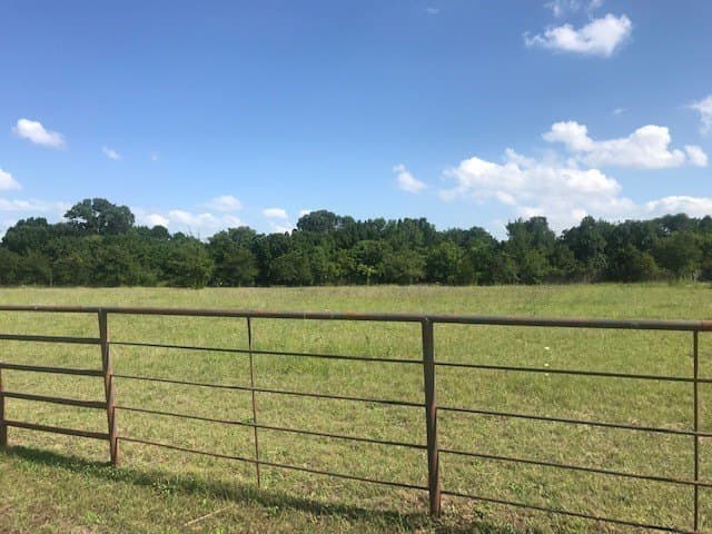 7.98 acres in Collin County - photo 4