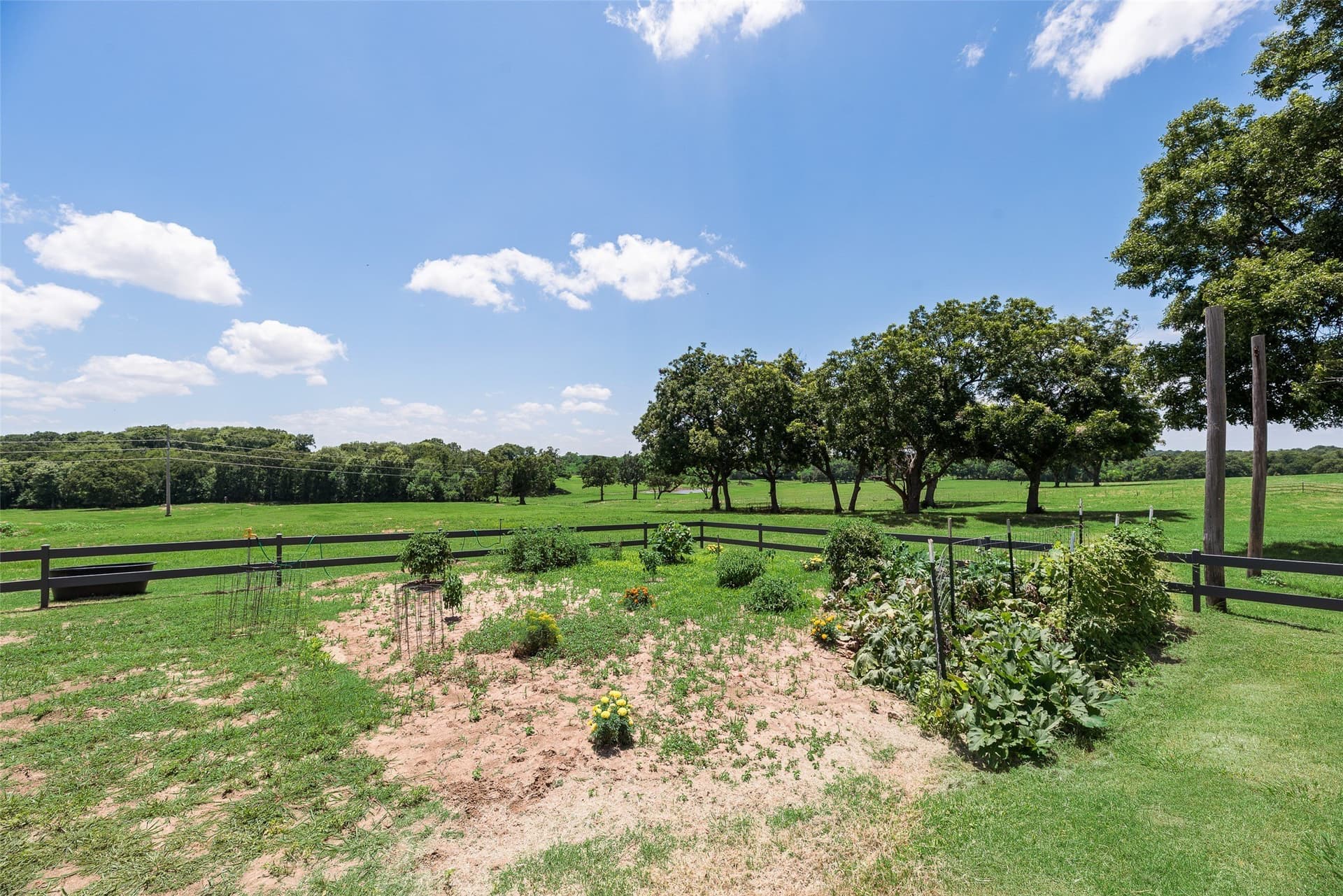21.93 acres in Grayson County - photo 29