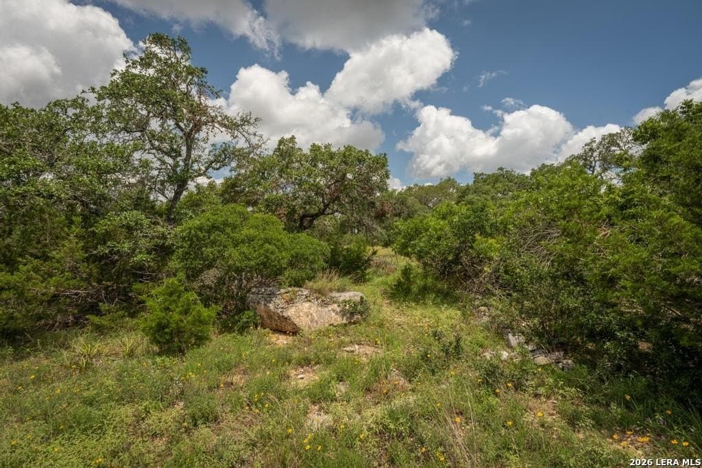 5 acres in Comal County - photo 12