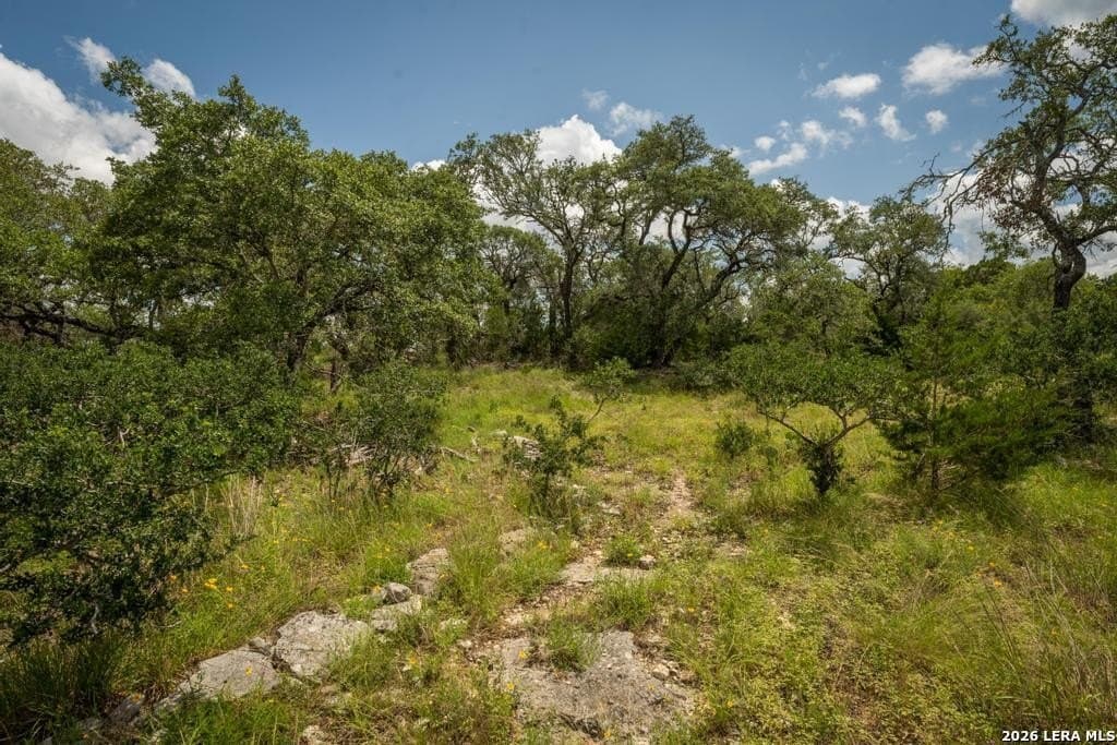 5 acres in Comal County - photo 11