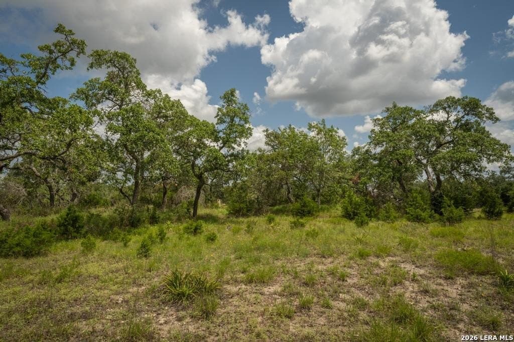 5 acres in Comal County - photo 7