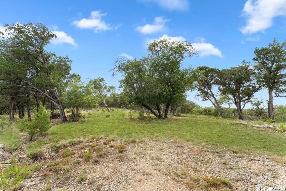 5.09 acres in Bexar County gallery image 4