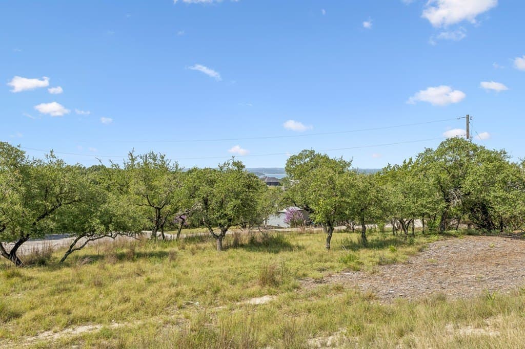 0.55 acres in Comal County - photo 6
