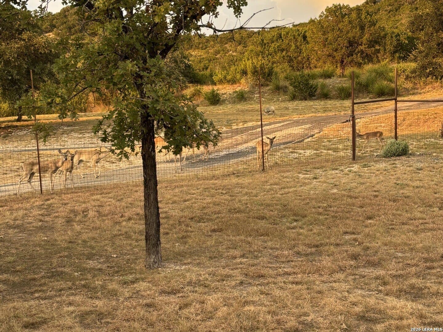 11 acres in Kendall County - photo 40