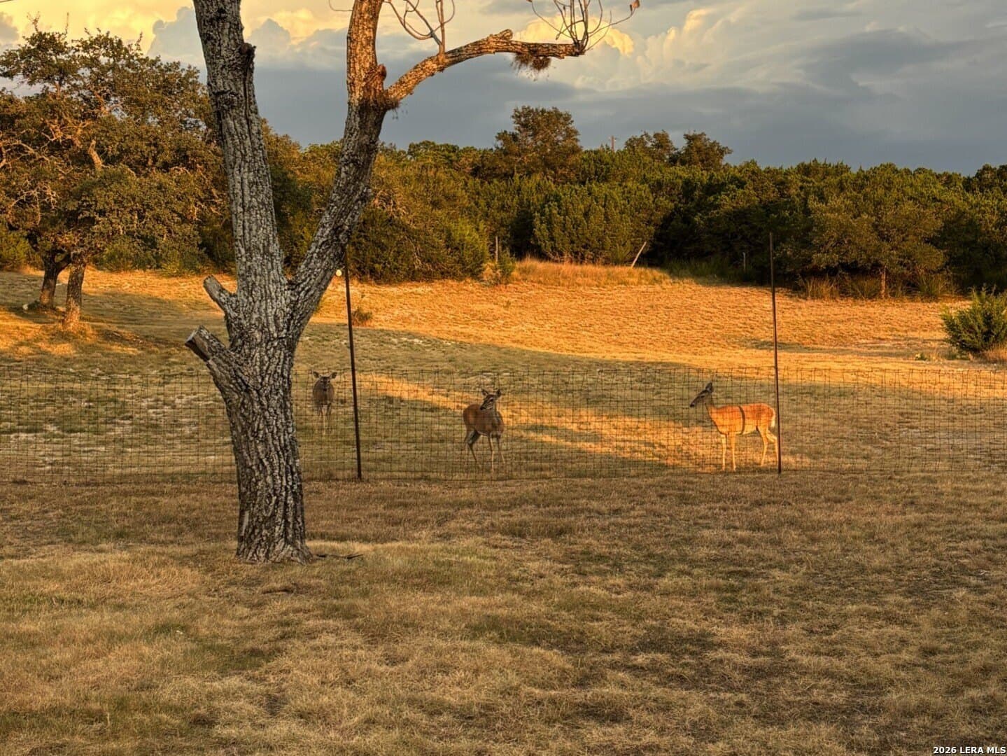 11 acres in Kendall County - photo 42