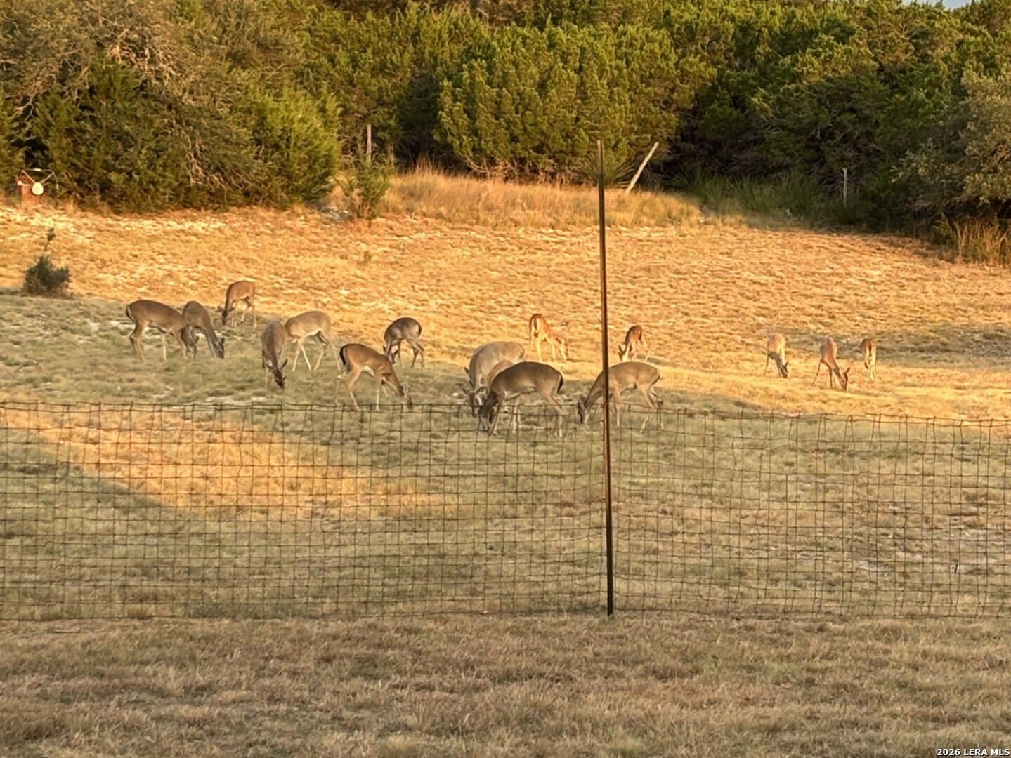 11 acres in Kendall County - photo 41