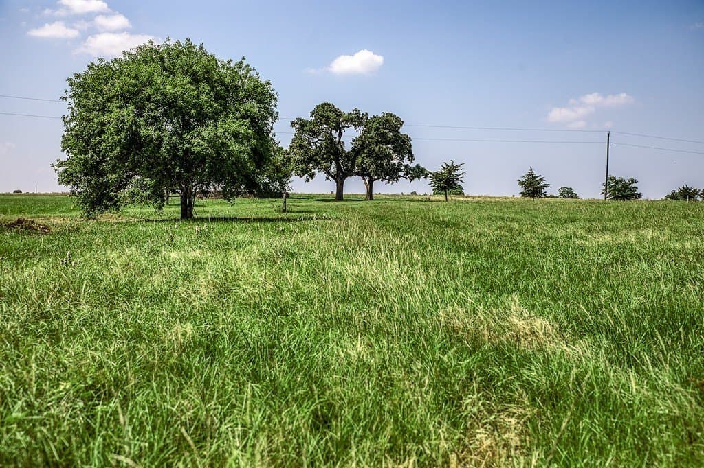 21.01 acres in Washington County gallery image 3
