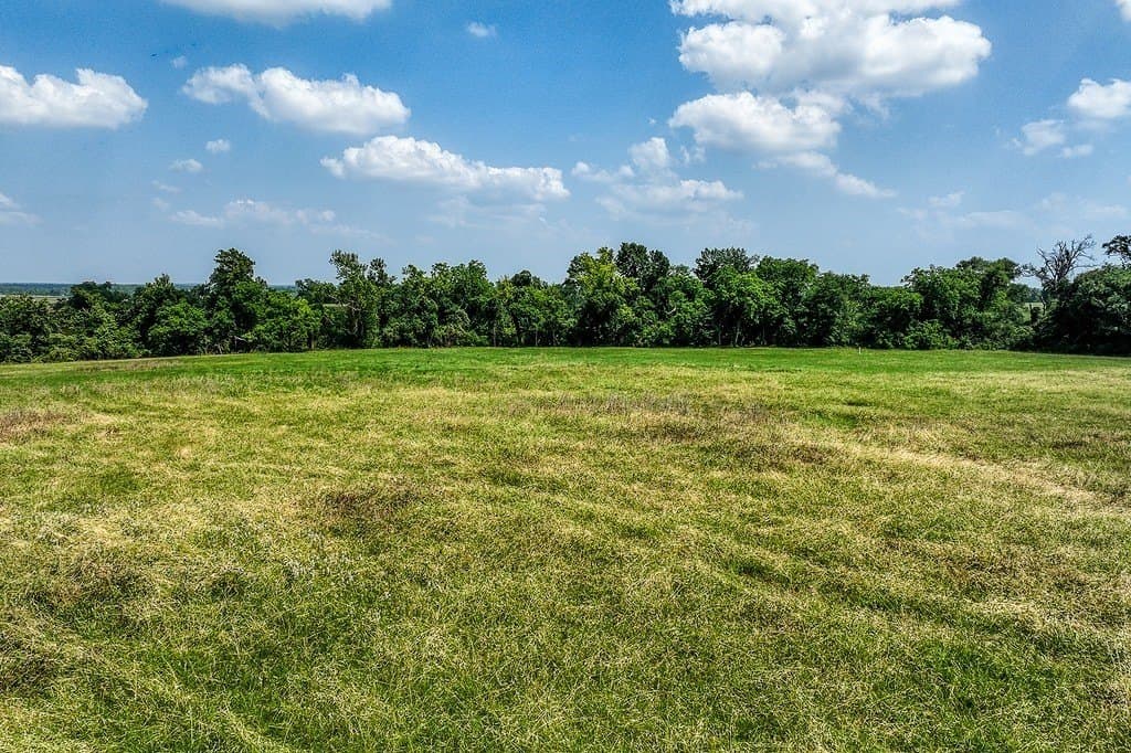21.01 acres in Washington County gallery image 4