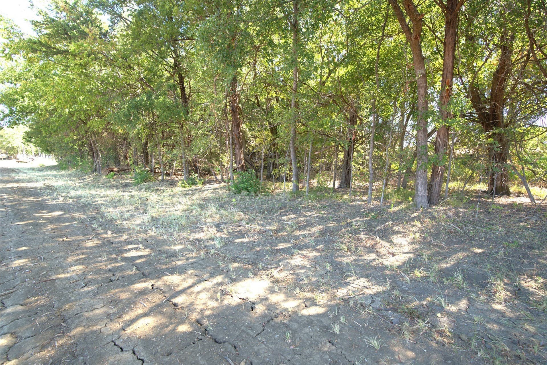 0.5 acres in Lamar County - photo 3
