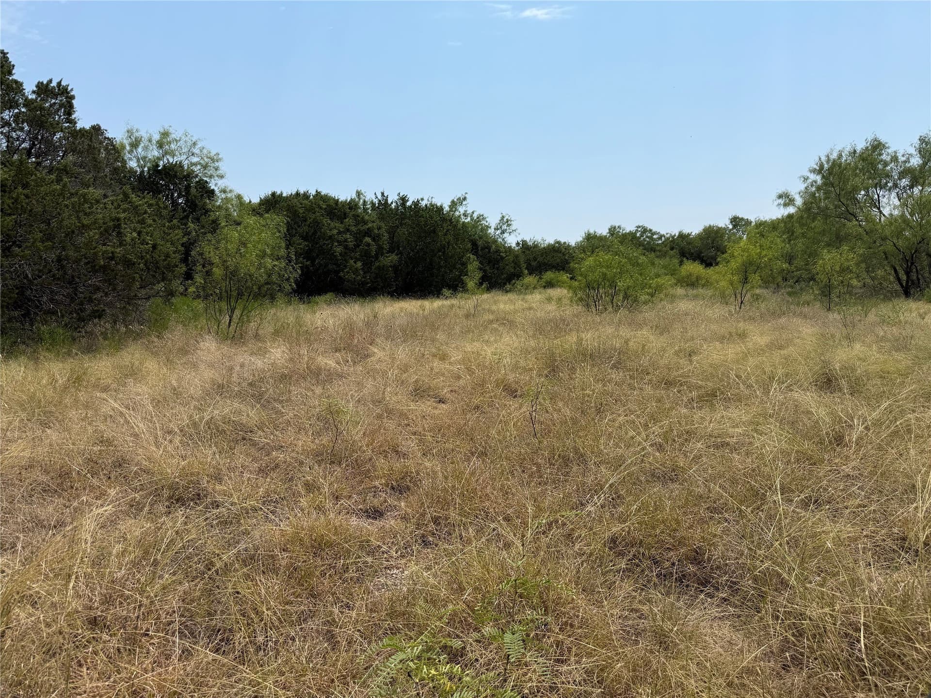 5.25 acres in Palo Pinto County gallery image 4