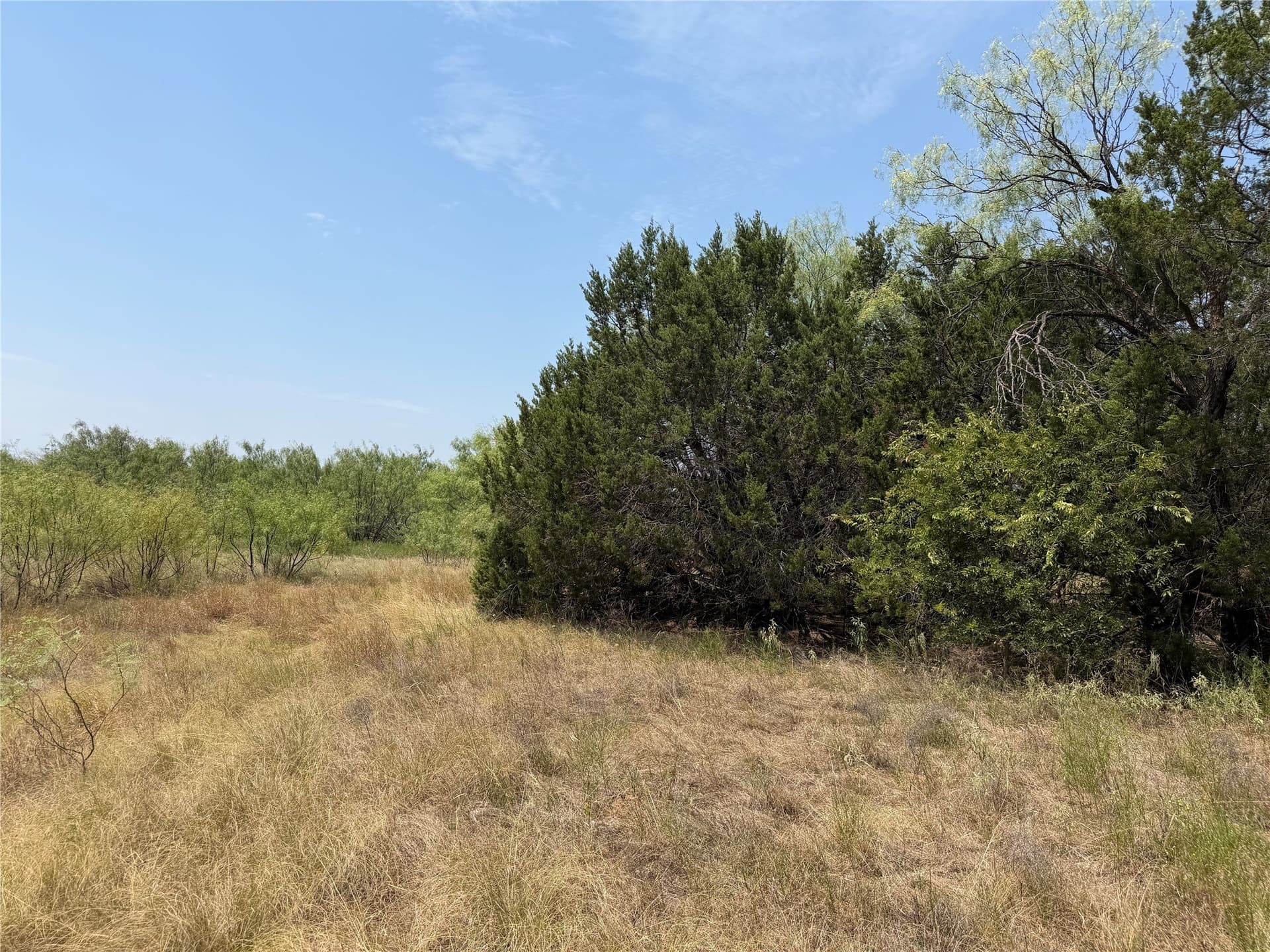 5.25 acres in Palo Pinto County gallery image 2