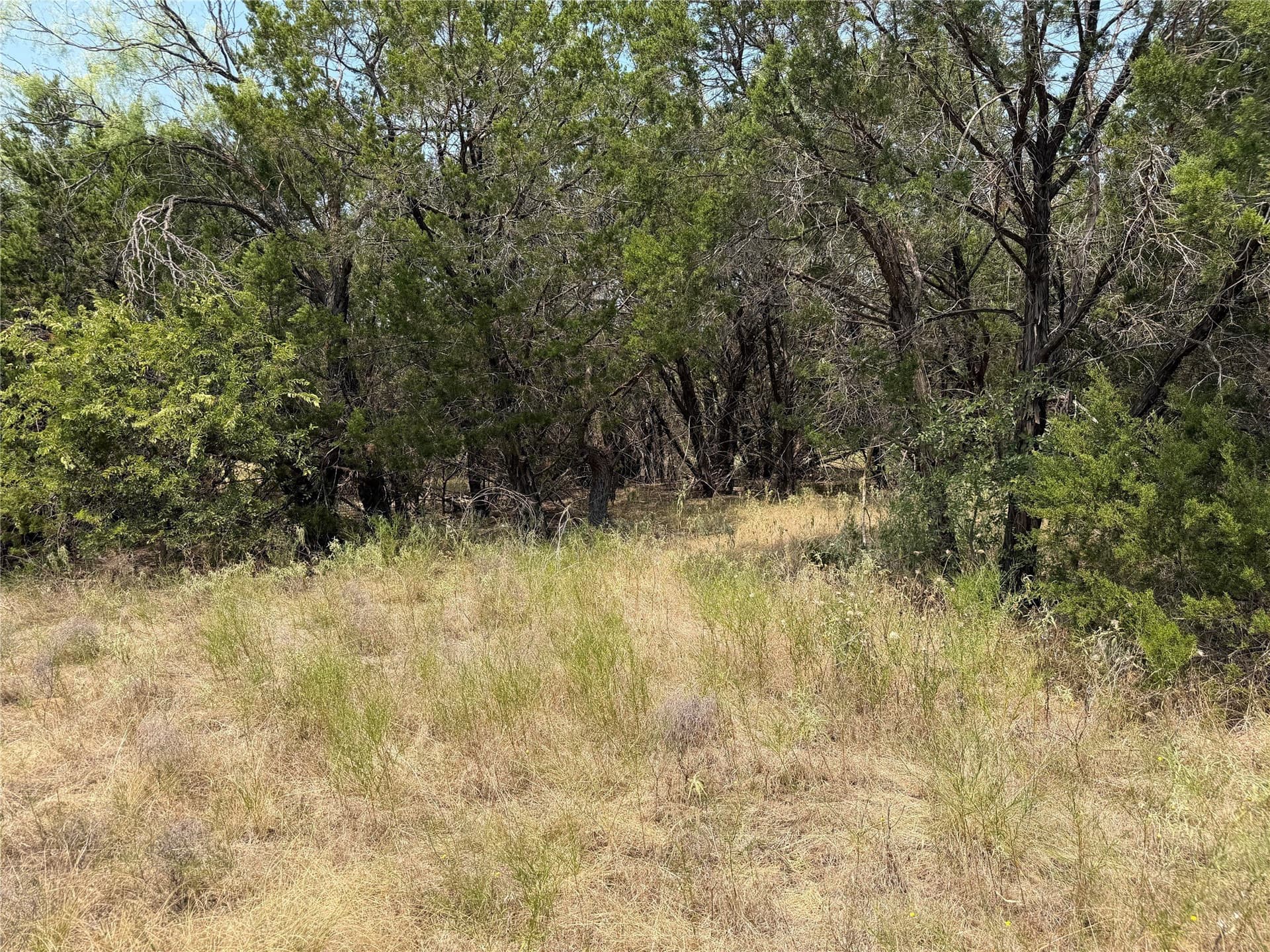 5.25 acres in Palo Pinto County - photo 8