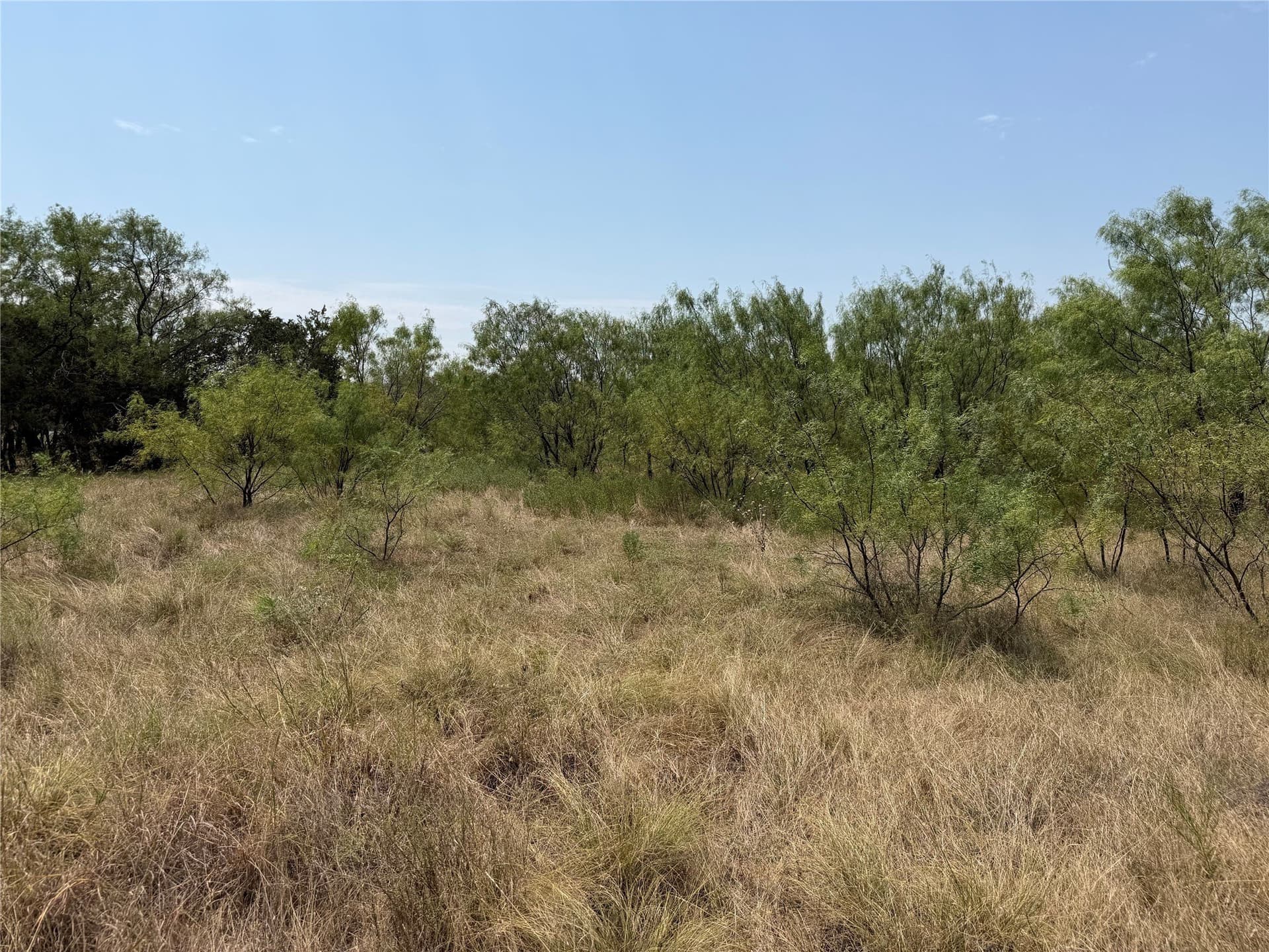 5.25 acres in Palo Pinto County - photo 6