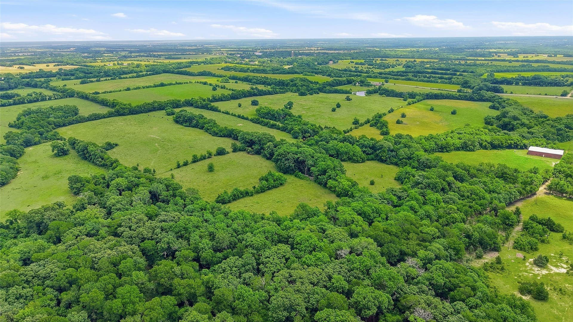 82.79 acres in Fannin County - photo 7