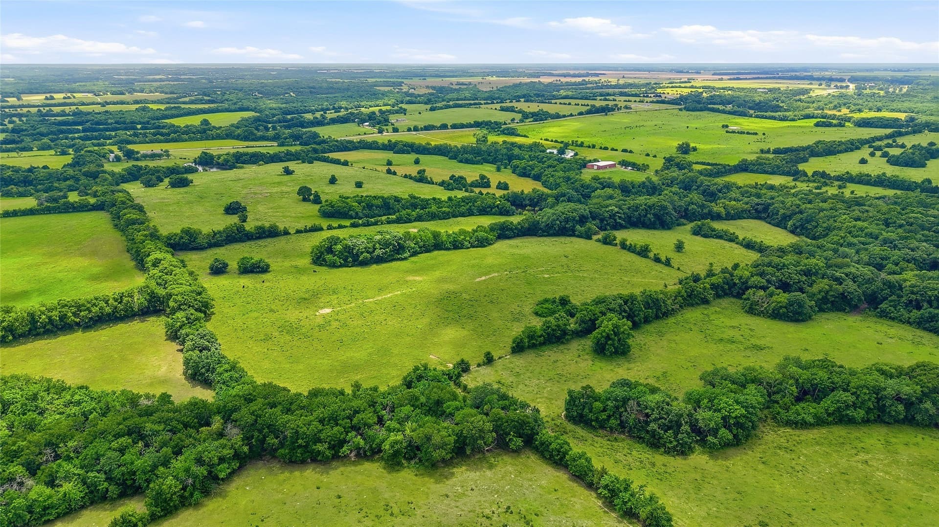 82.79 acres in Fannin County - photo 6