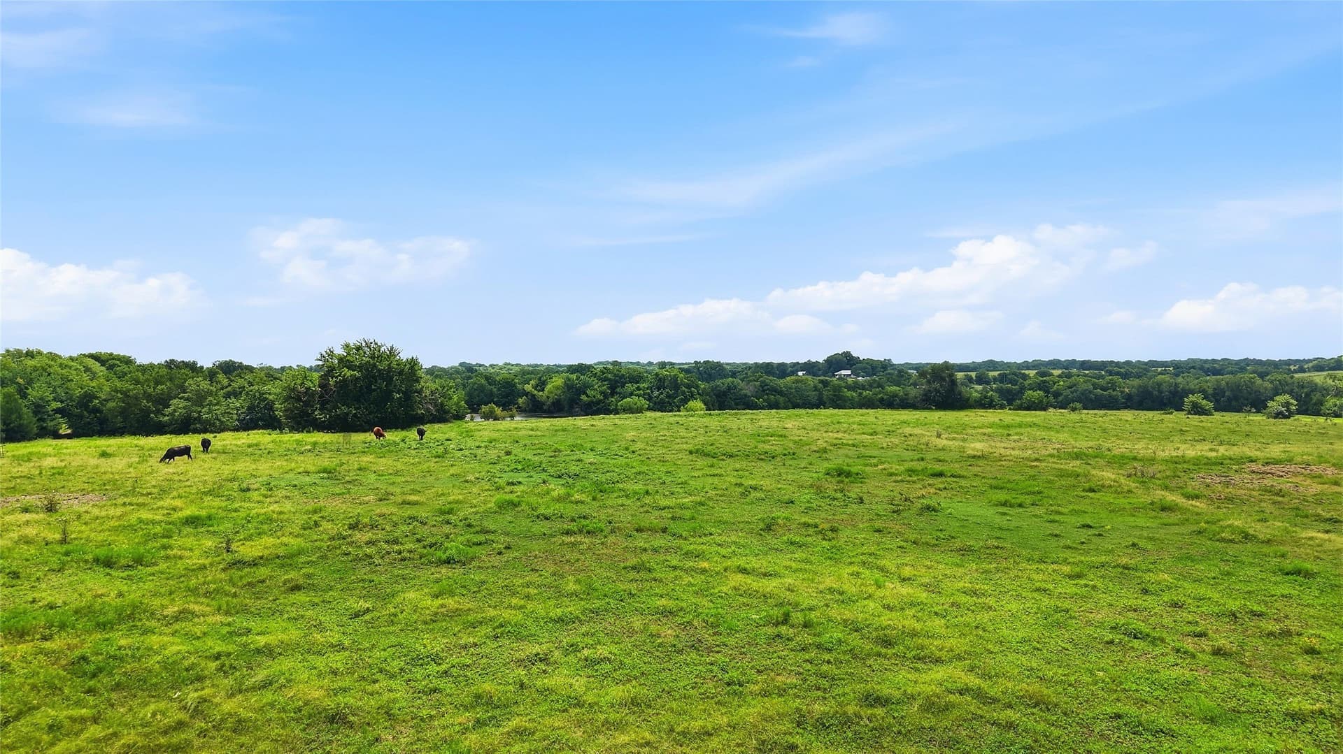 82.79 acres in Fannin County - photo 9