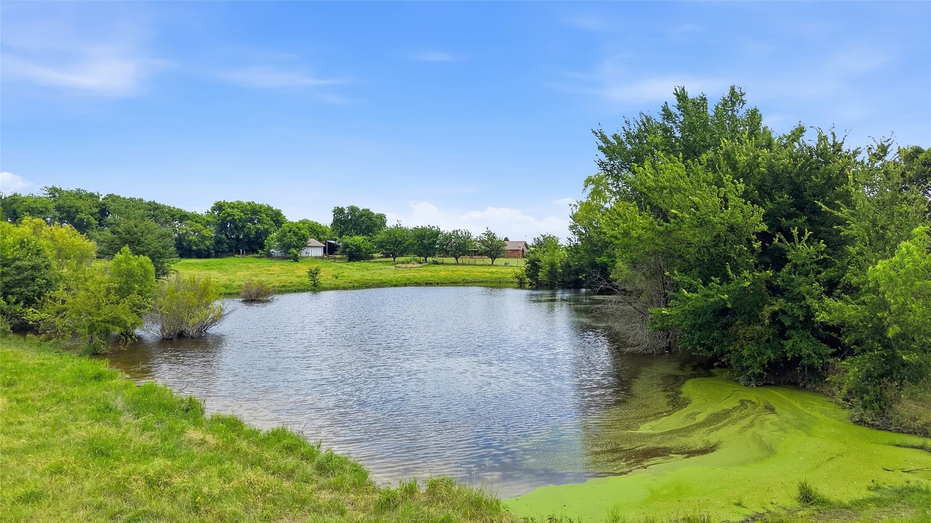 82.79 acres in Fannin County - photo 13