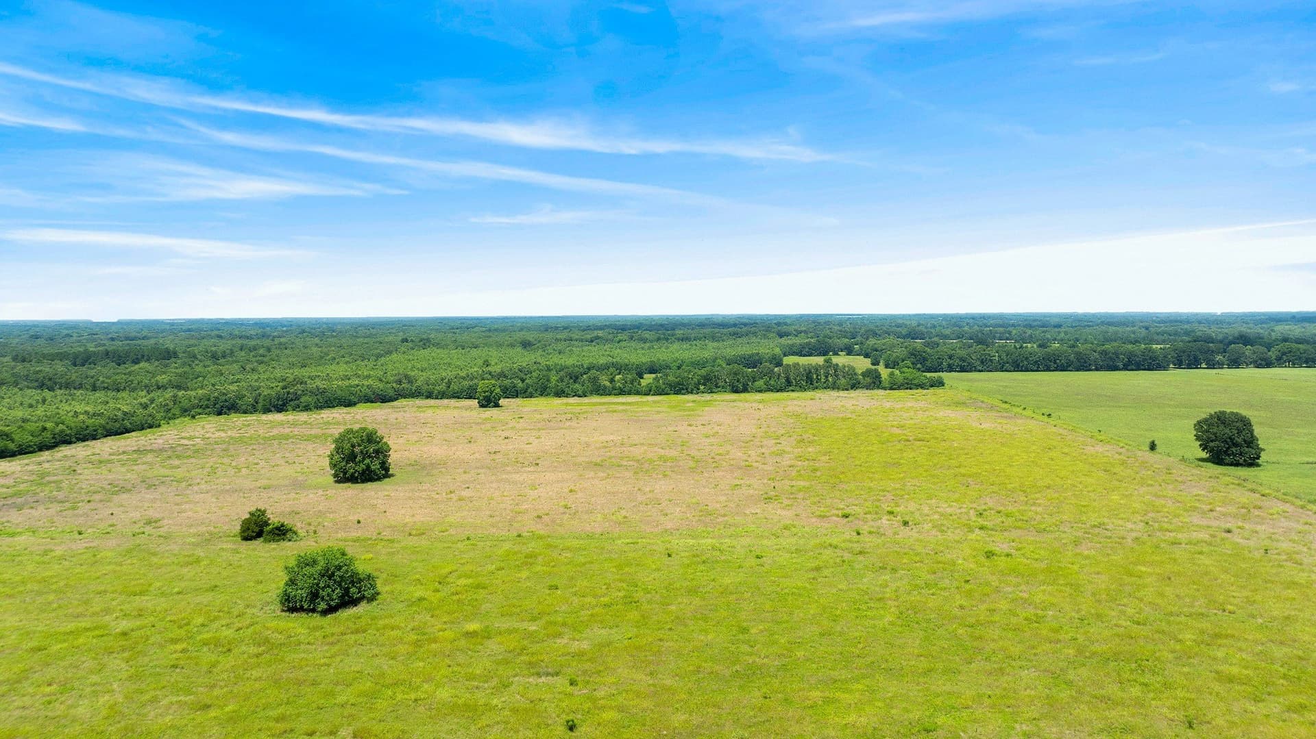 242.7 acres in Red River (TX) County - photo 11