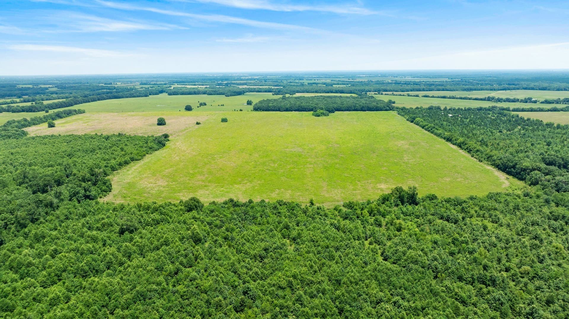 242.7 acres in Red River (TX) County - photo 2