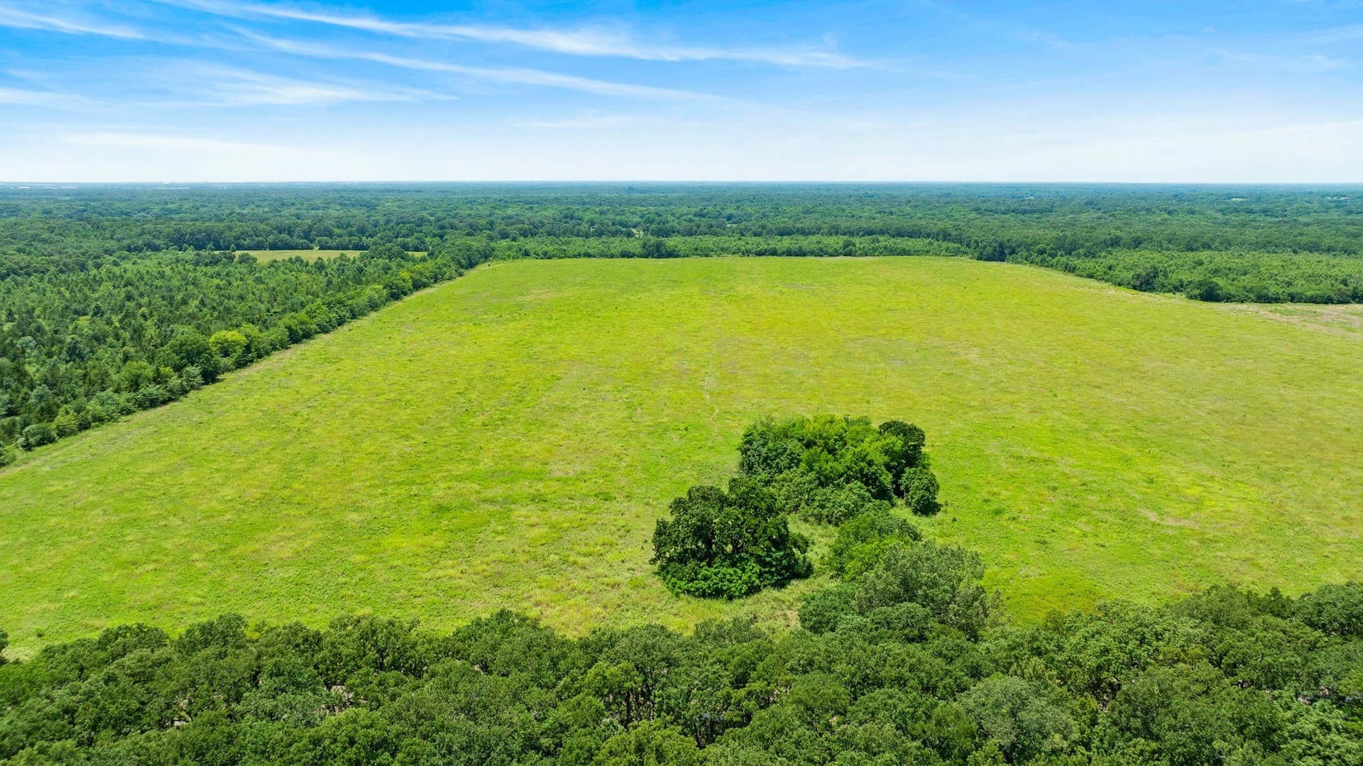 242.7 acres in Red River (TX) County - photo 7