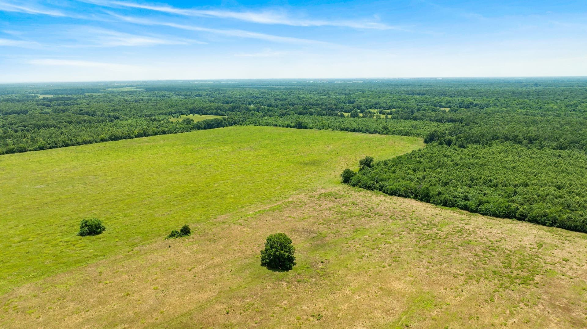 242.7 acres in Red River (TX) County - photo 10