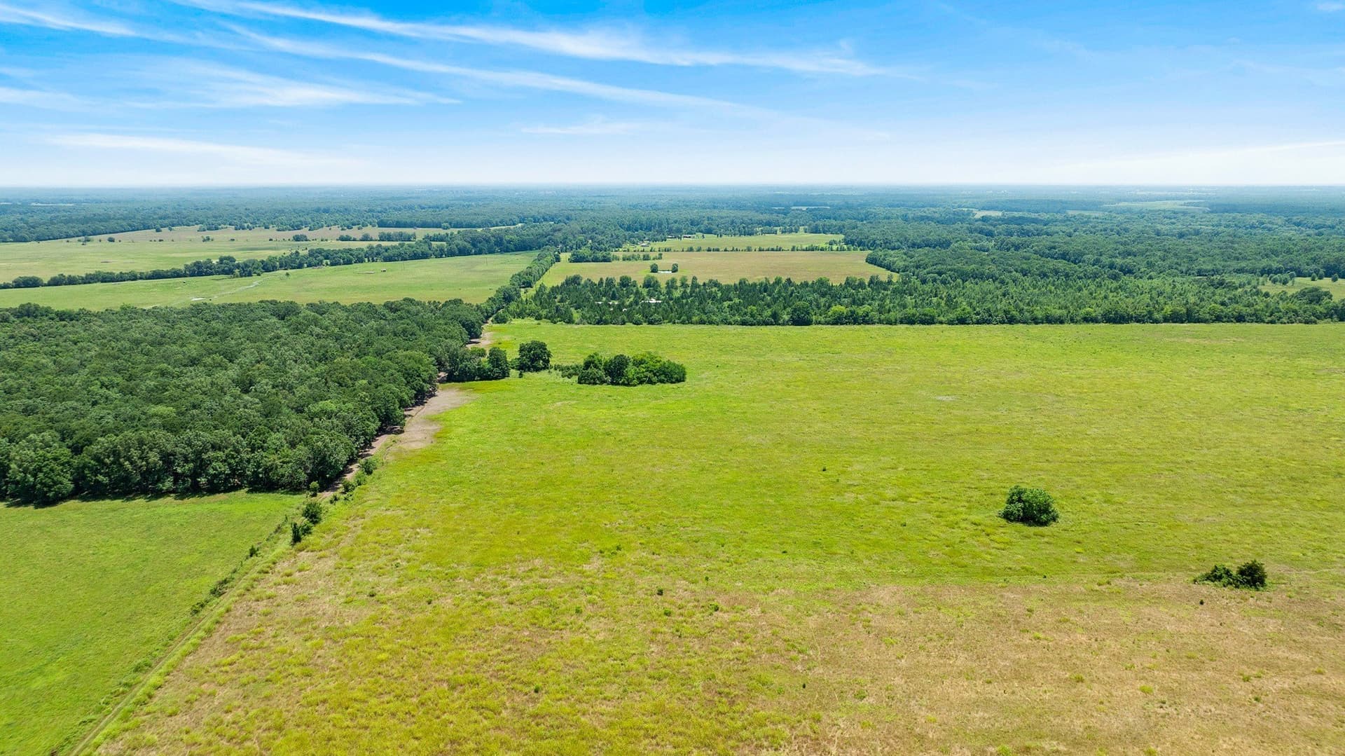 242.7 acres in Red River (TX) County - photo 9