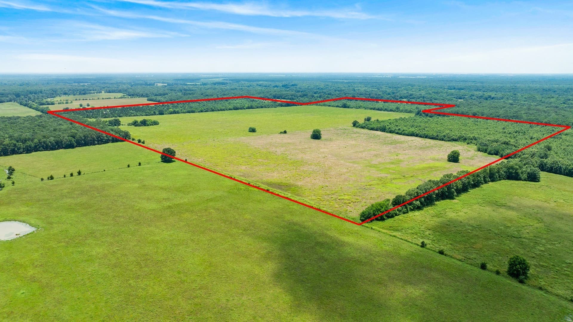 242.7 acres in Red River (TX) County - photo 8