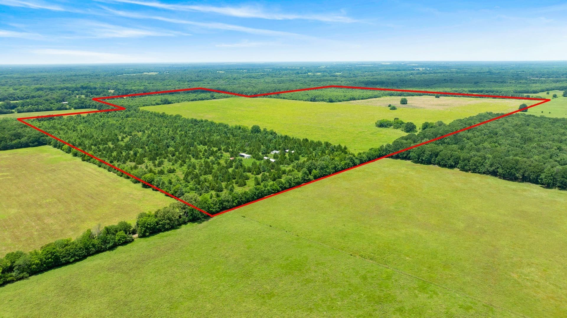 242.7 acres in Red River (TX) County - photo 5