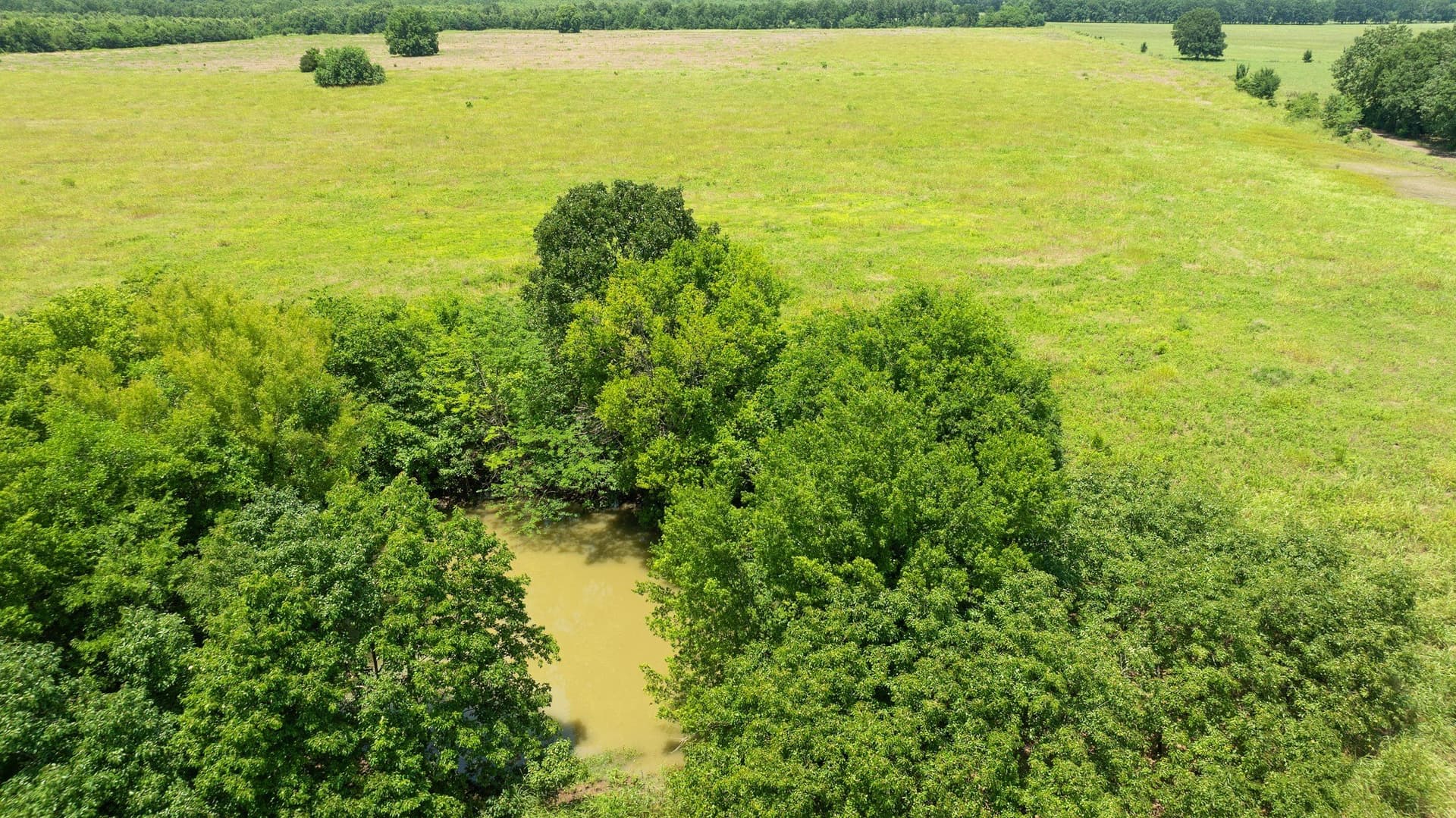 242.7 acres in Red River (TX) County - photo 12