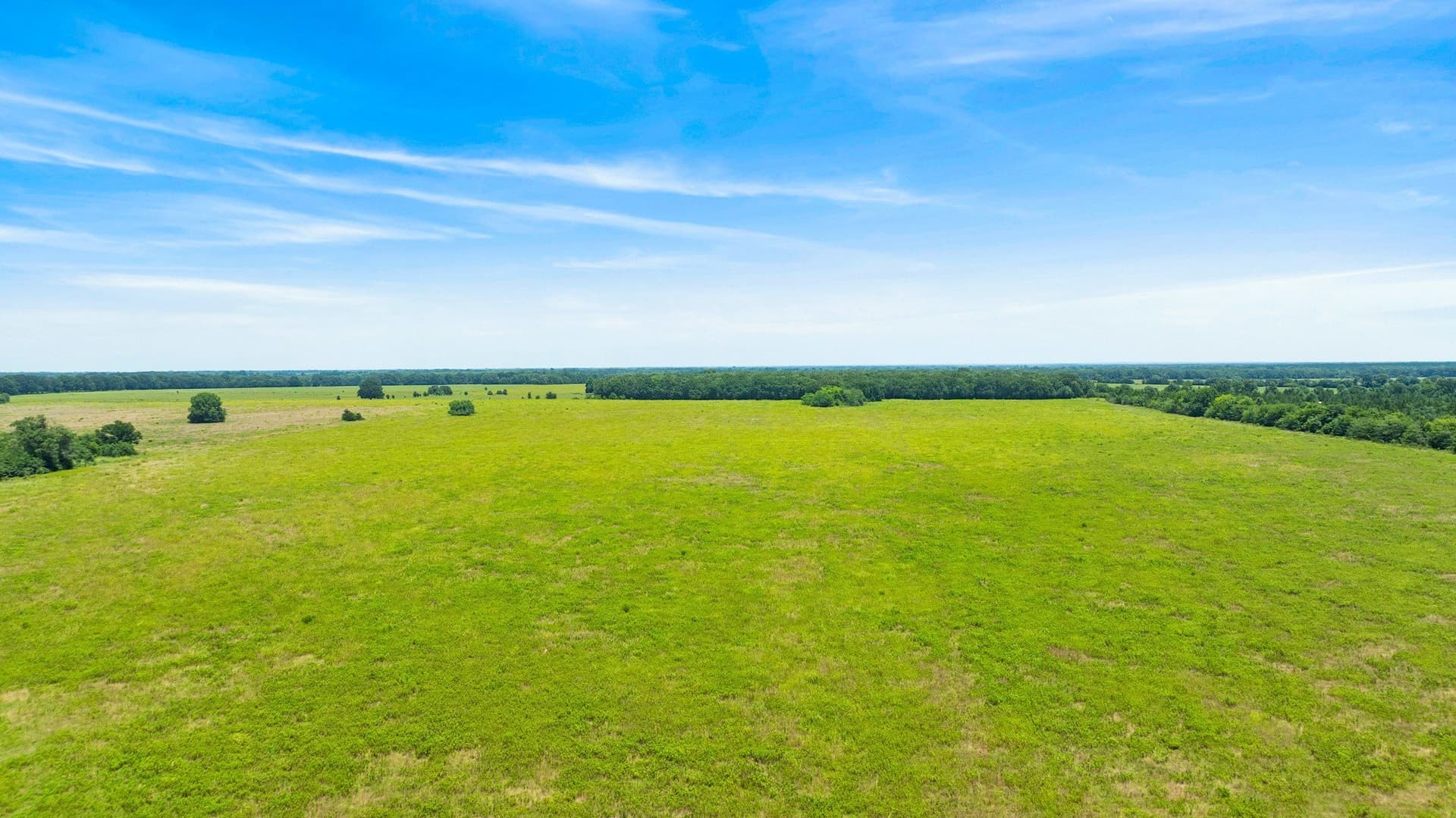 242.7 acres in Red River (TX) County - photo 6