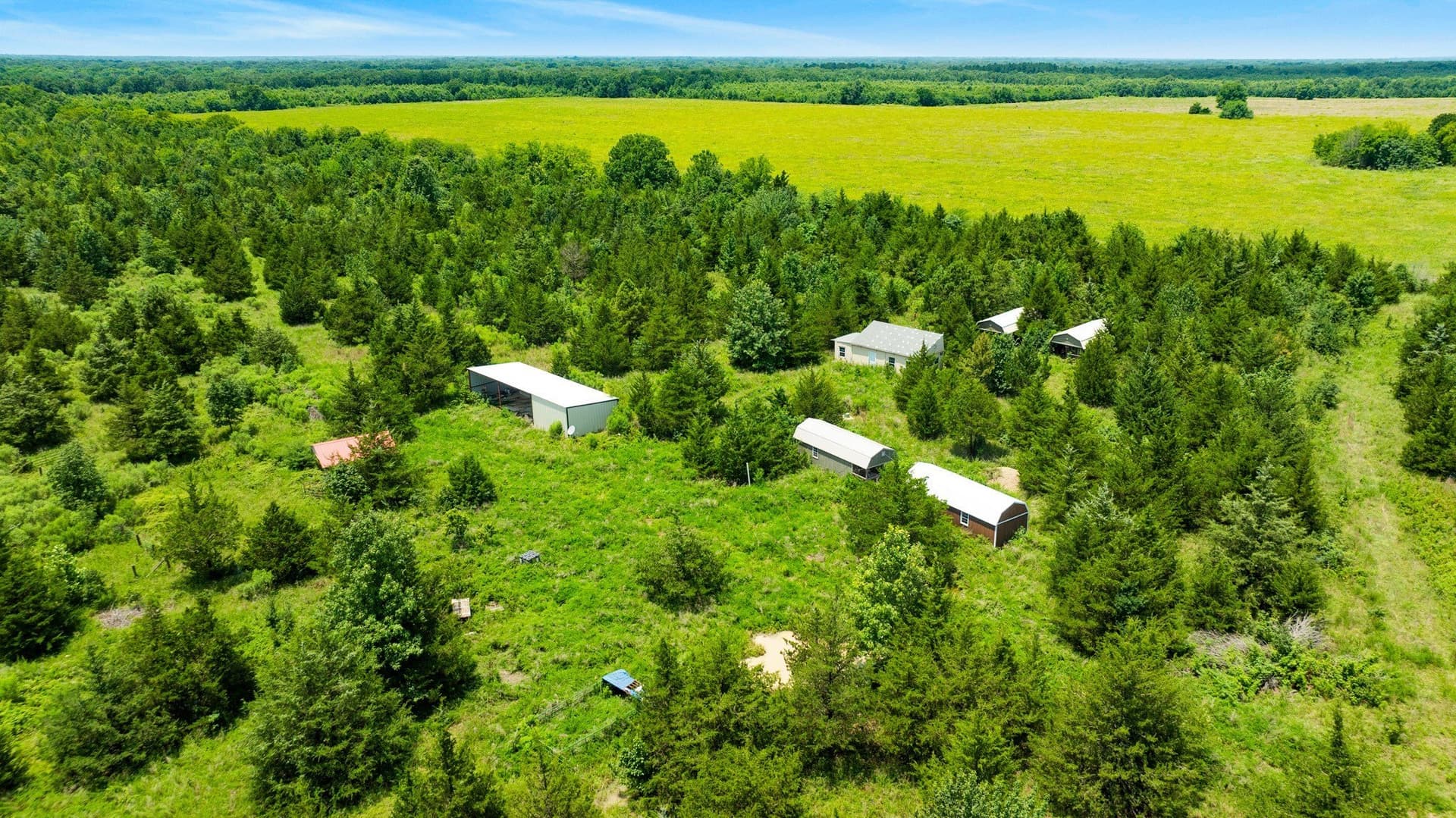 242.7 acres in Red River (TX) County - photo 17
