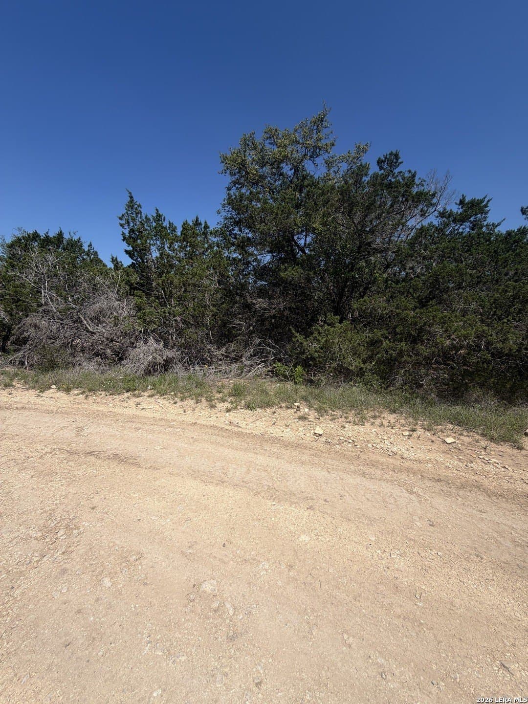 0.23 acres in Bandera County gallery image 2