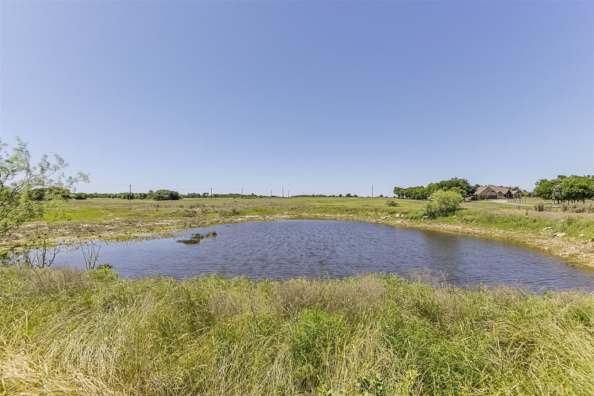 38.38 acres in Ellis County gallery image 4