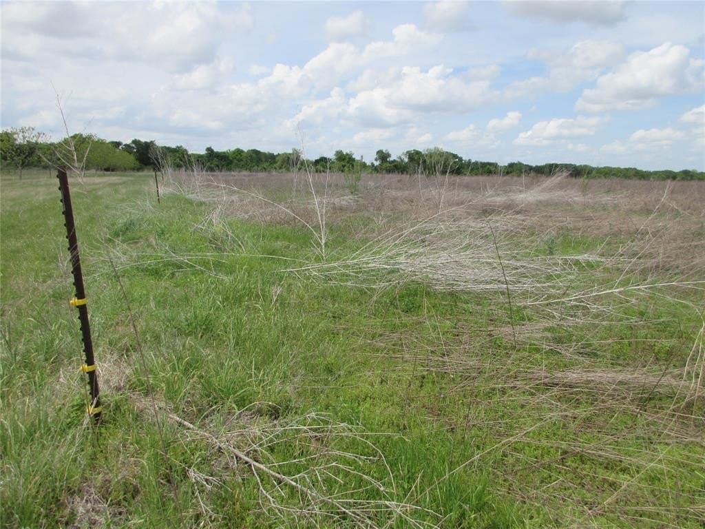 18.5 acres in Falls County gallery image 3