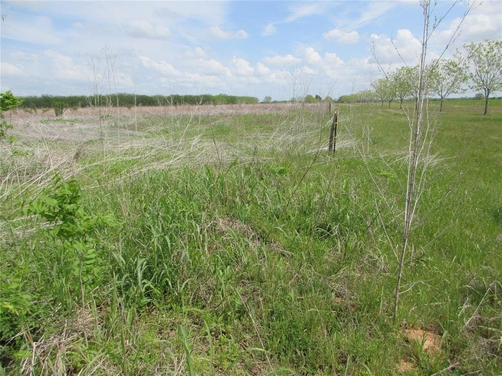 18.5 acres in Falls County gallery image 4