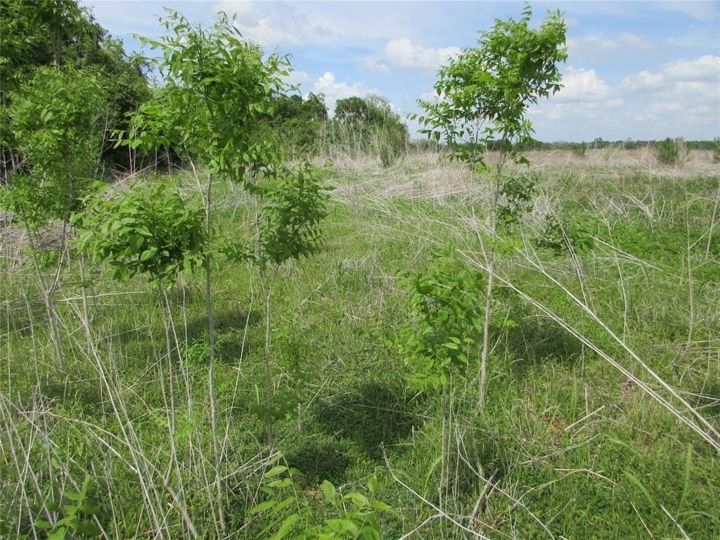 18.5 acres in Falls County featured view