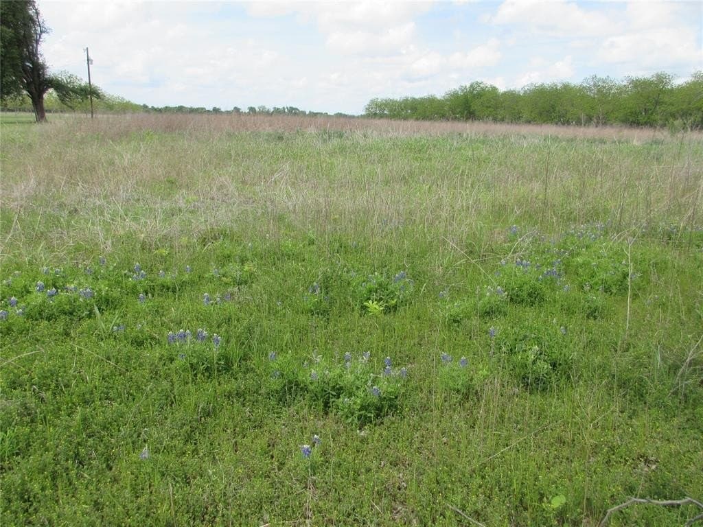18.5 acres in Falls County