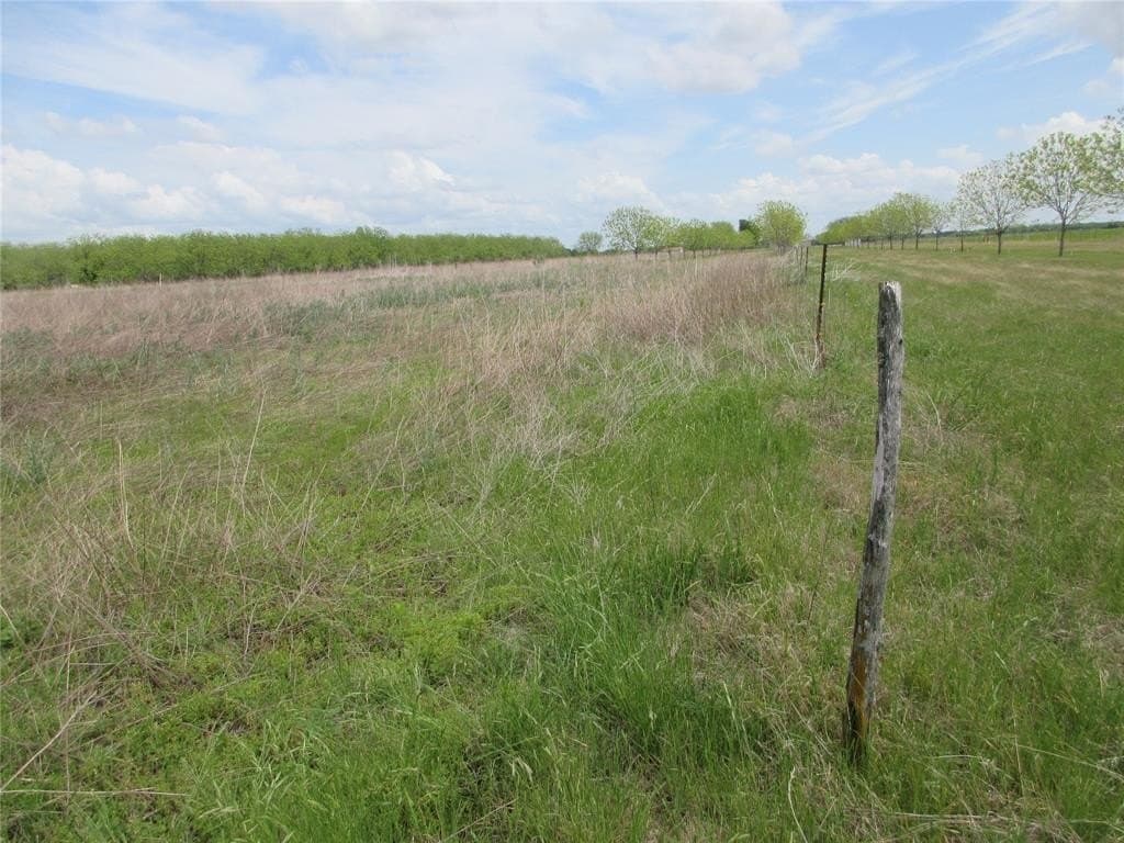 18.5 acres in Falls County gallery image 2