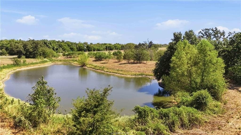 15.85 acres in Robertson County - photo 2